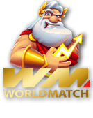 wm MAHJONG900